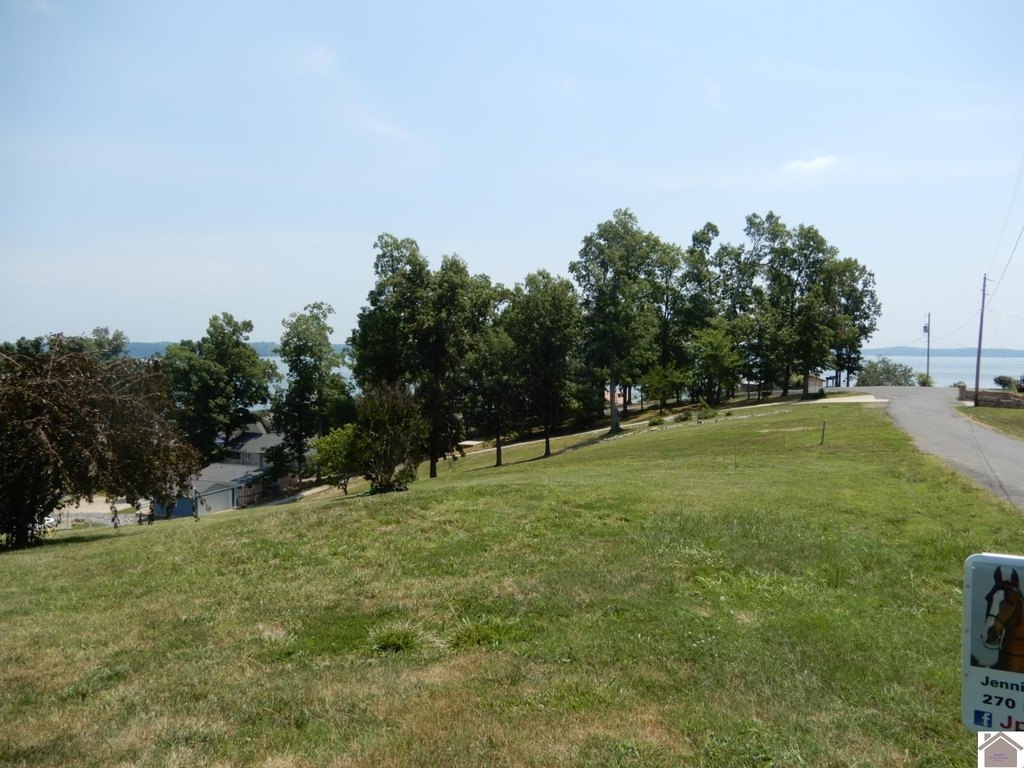 Picture 7