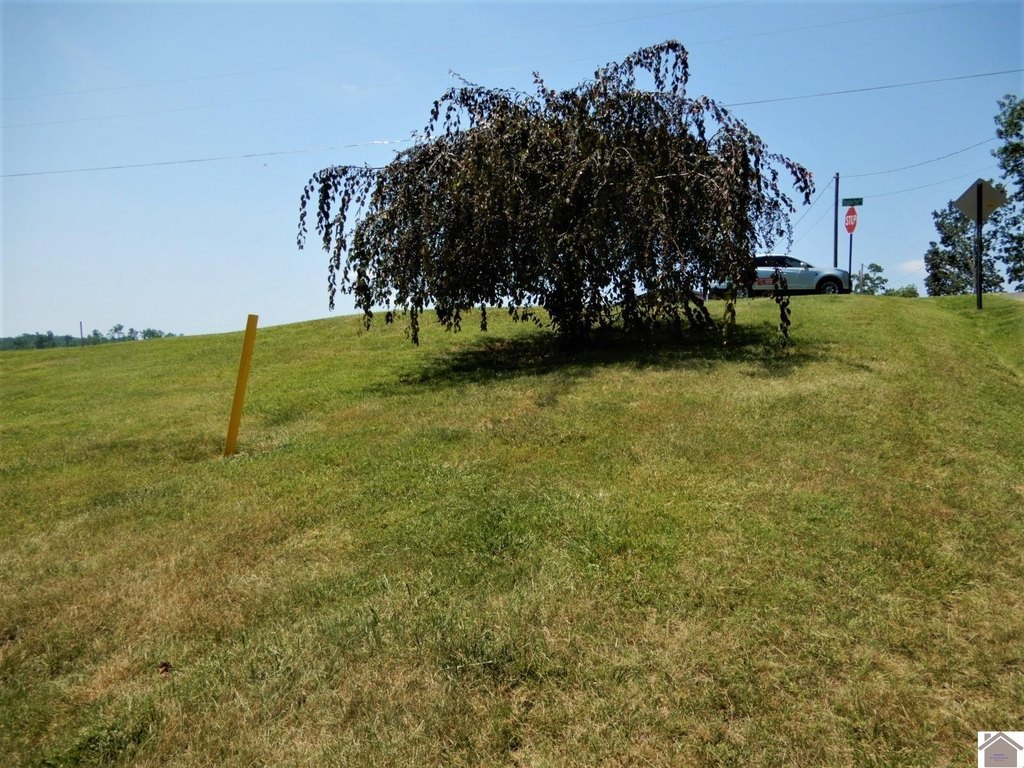 Picture 14