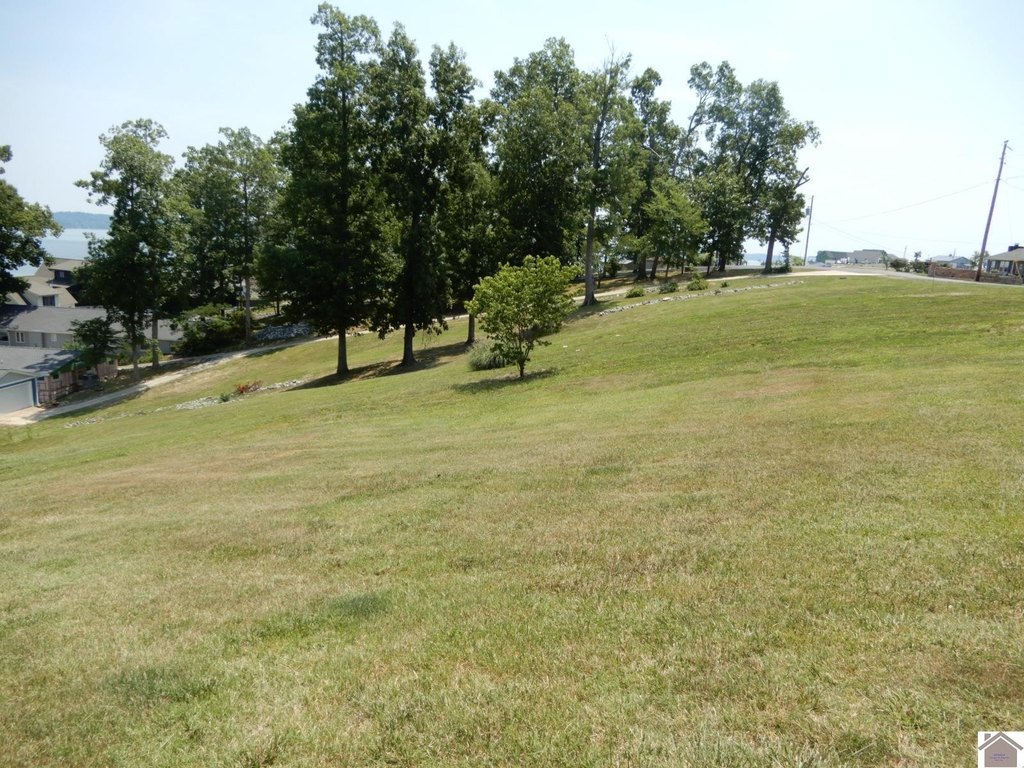 Picture 17