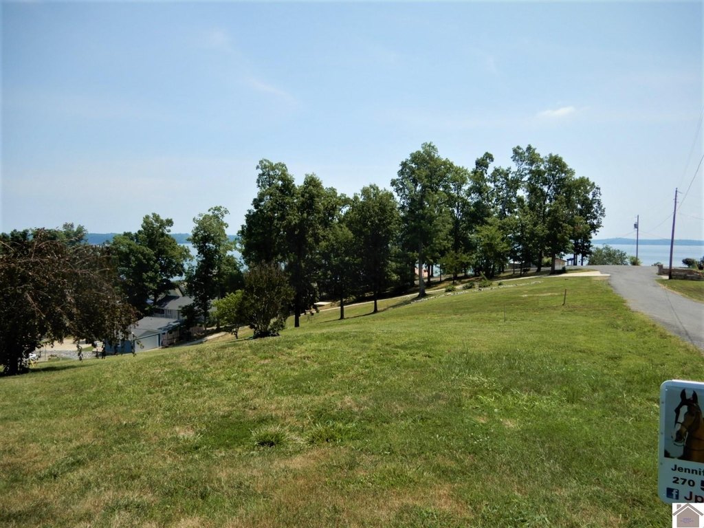 Picture 6