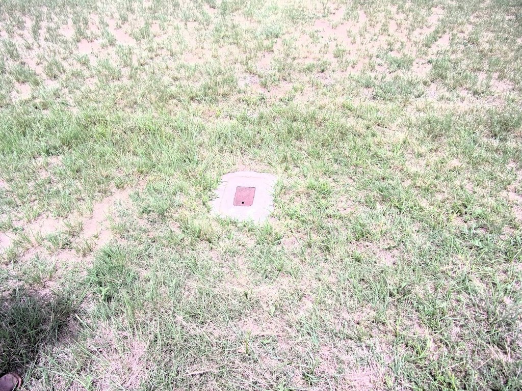 Picture 6