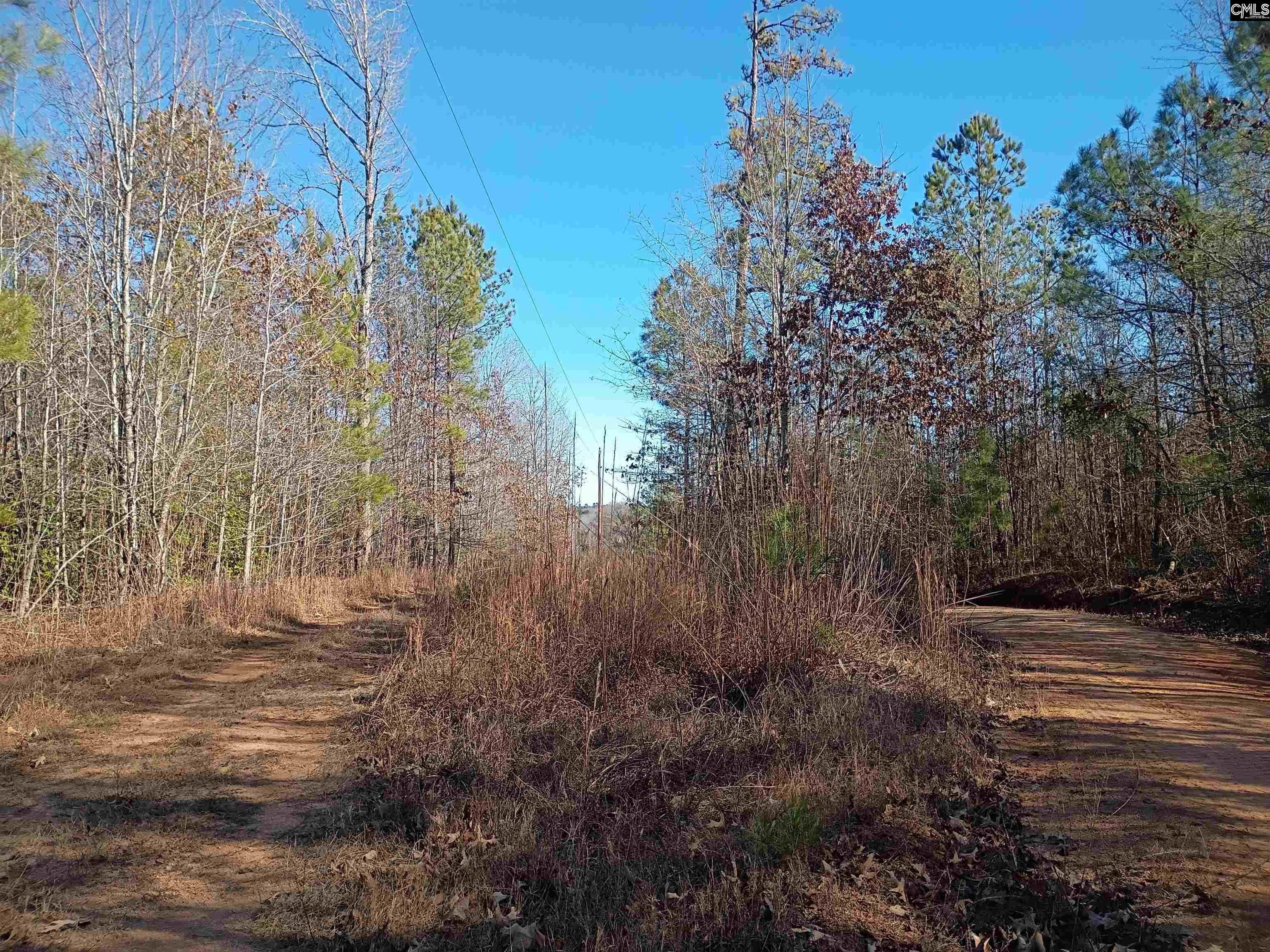 2.5 Acres Wooded Land