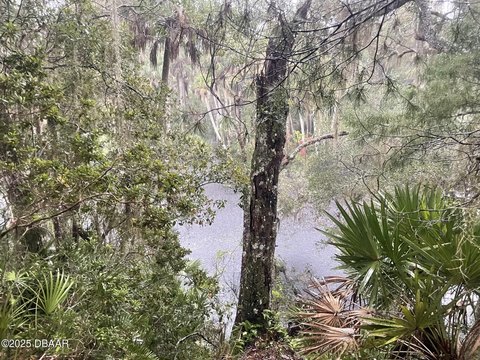Waterfront Estate Site on Spruce Creek