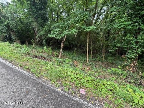 Lots & Acreage, Knoxville, TN