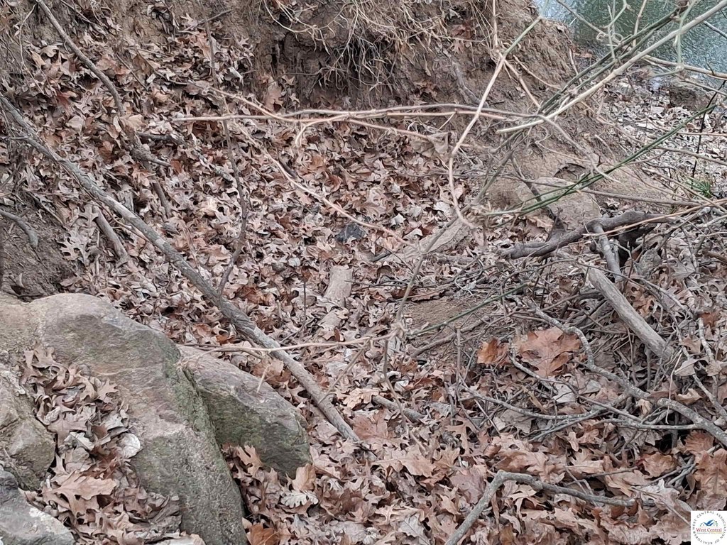Picture 30