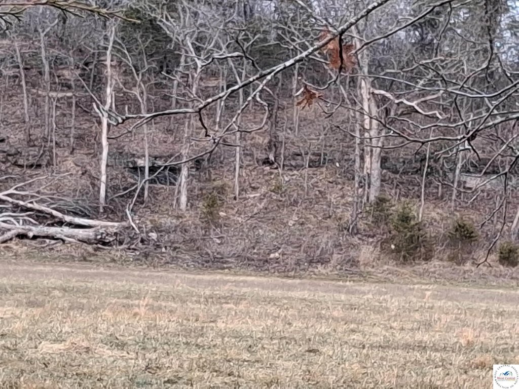 Picture 18