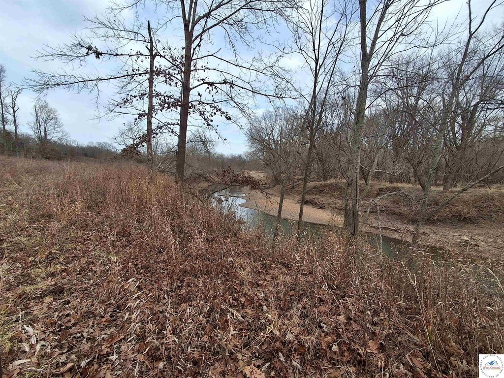 Picture 25