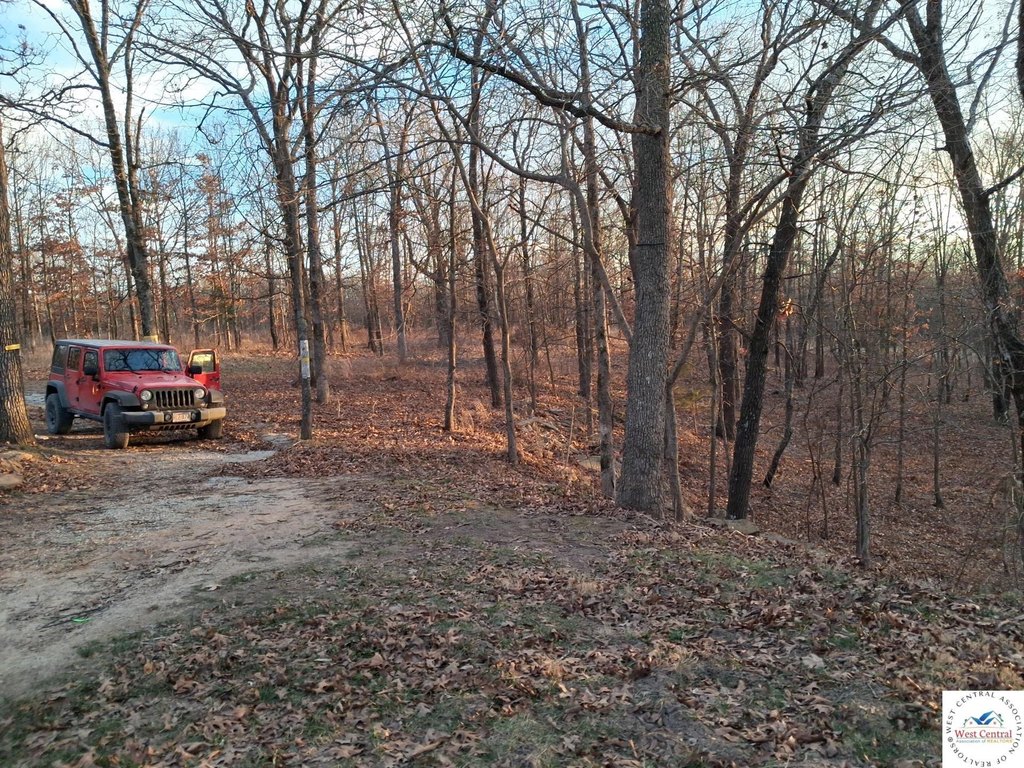 Picture 13