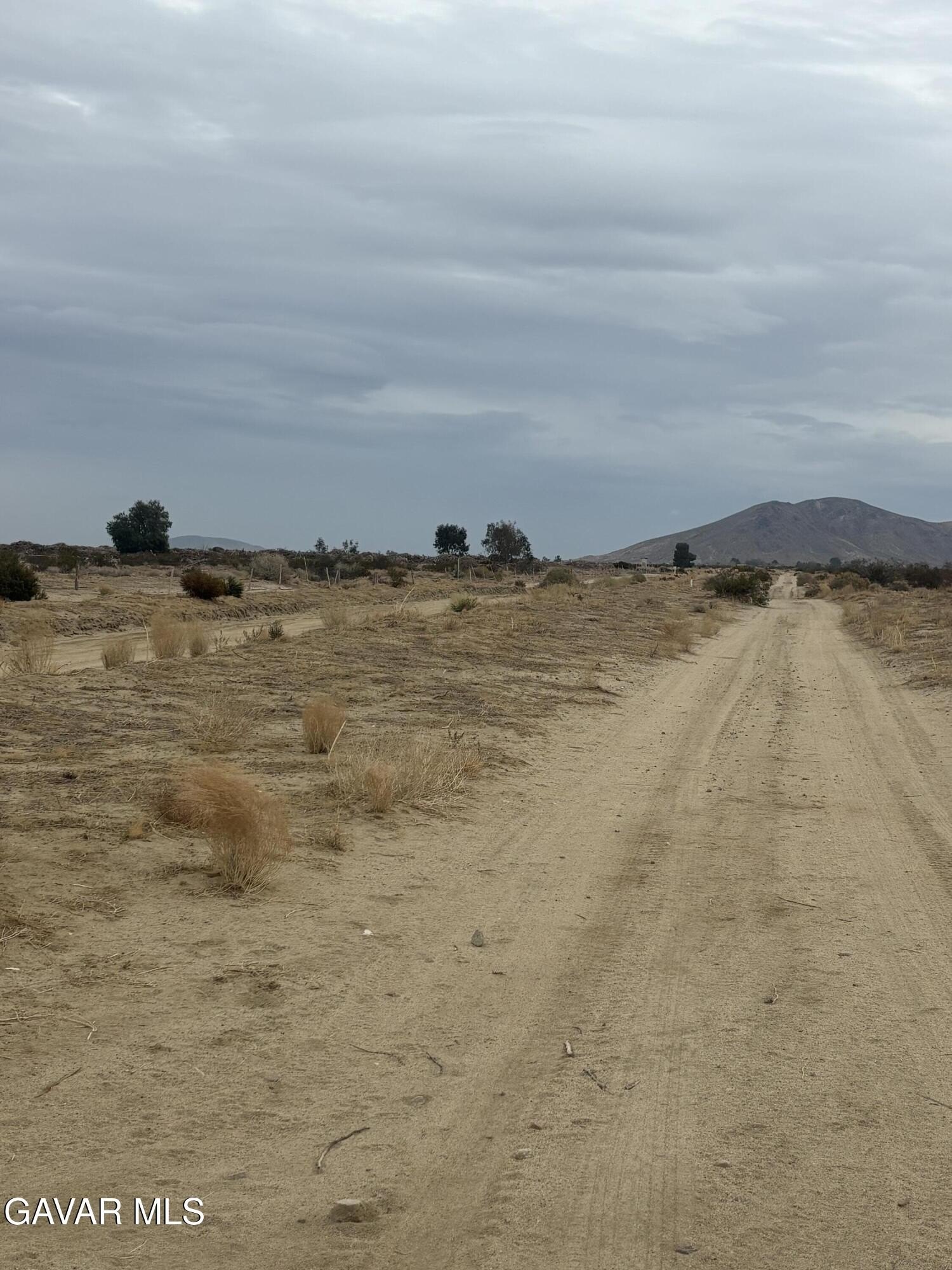 Palmdale Land for Sale