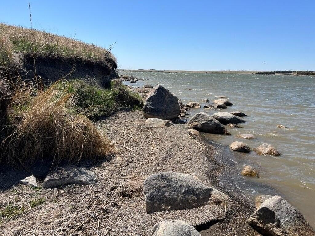 Picture 14