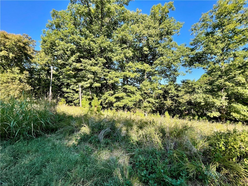Picture 25