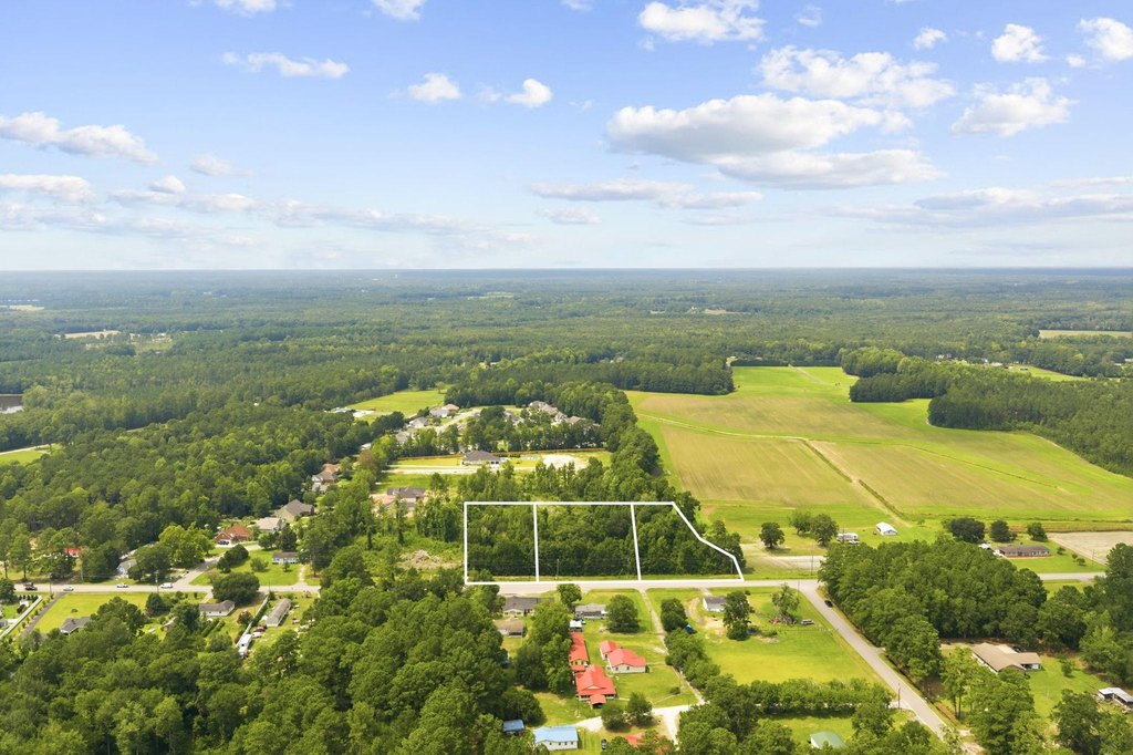 Picture 3
