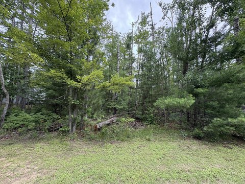 LAND - Hillman, MI