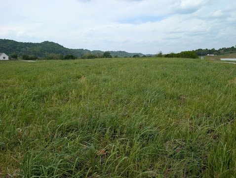 LAND - Burkesville, KY
