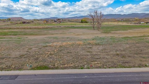 LAND, Montrose, CO
