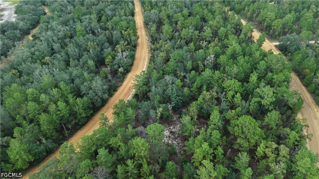 Picture 45