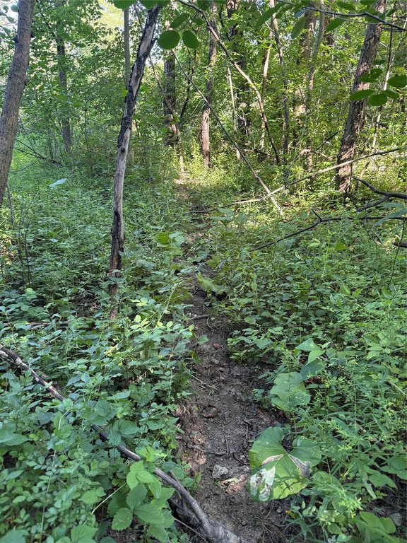 Picture 4