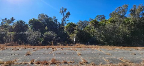Vacant Residential Lot in North Port
