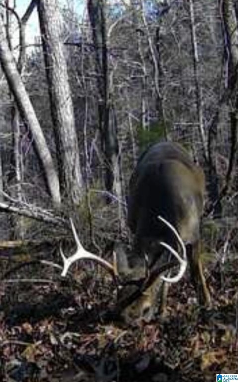 Picture 7