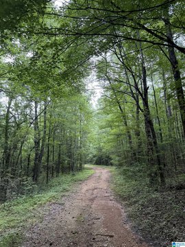 LAND/LOTS, COLUMBIANA, AL