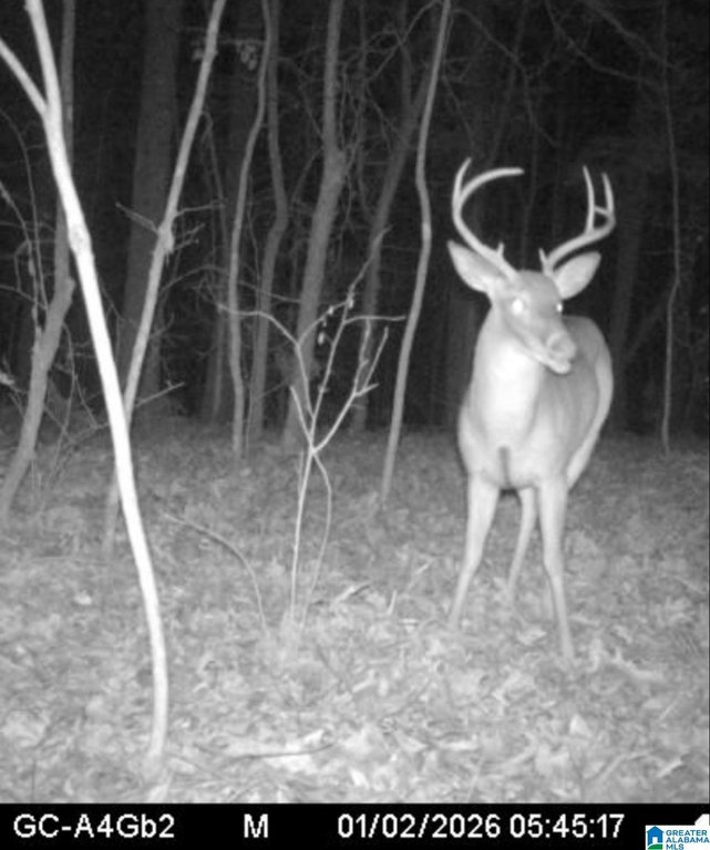 Picture 9