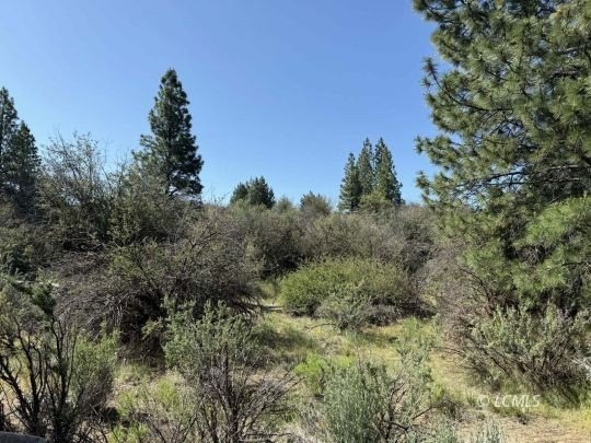 Land with Agency Lake Views