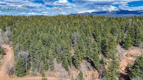 LAND - Florissant, CO