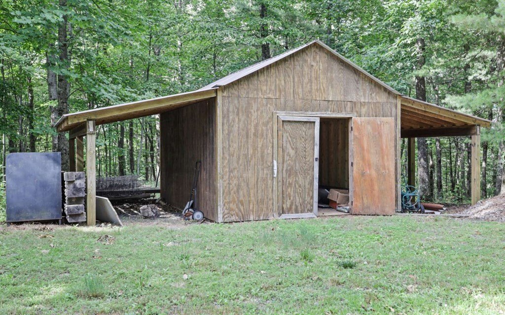 Picture 7