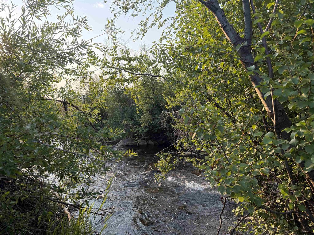 Picture 7