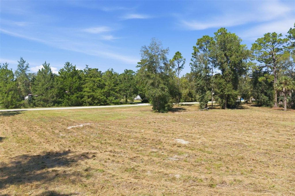 Picture 30