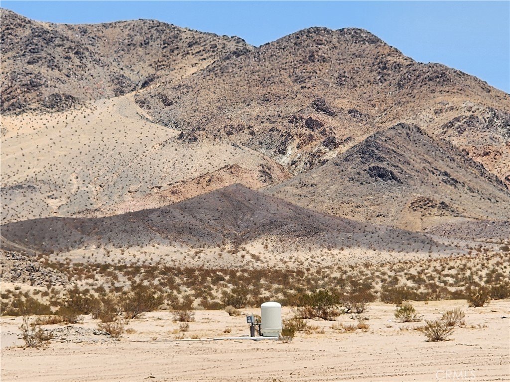 Picture 19