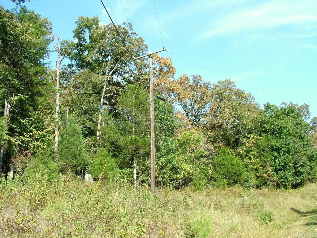 Picture 14