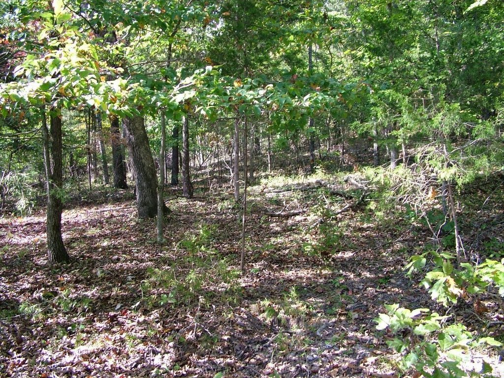 Picture 6