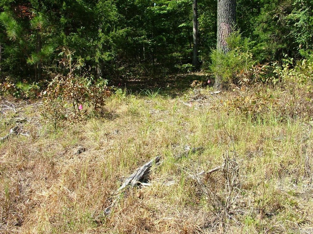 Picture 4