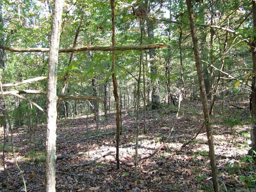 Picture 12