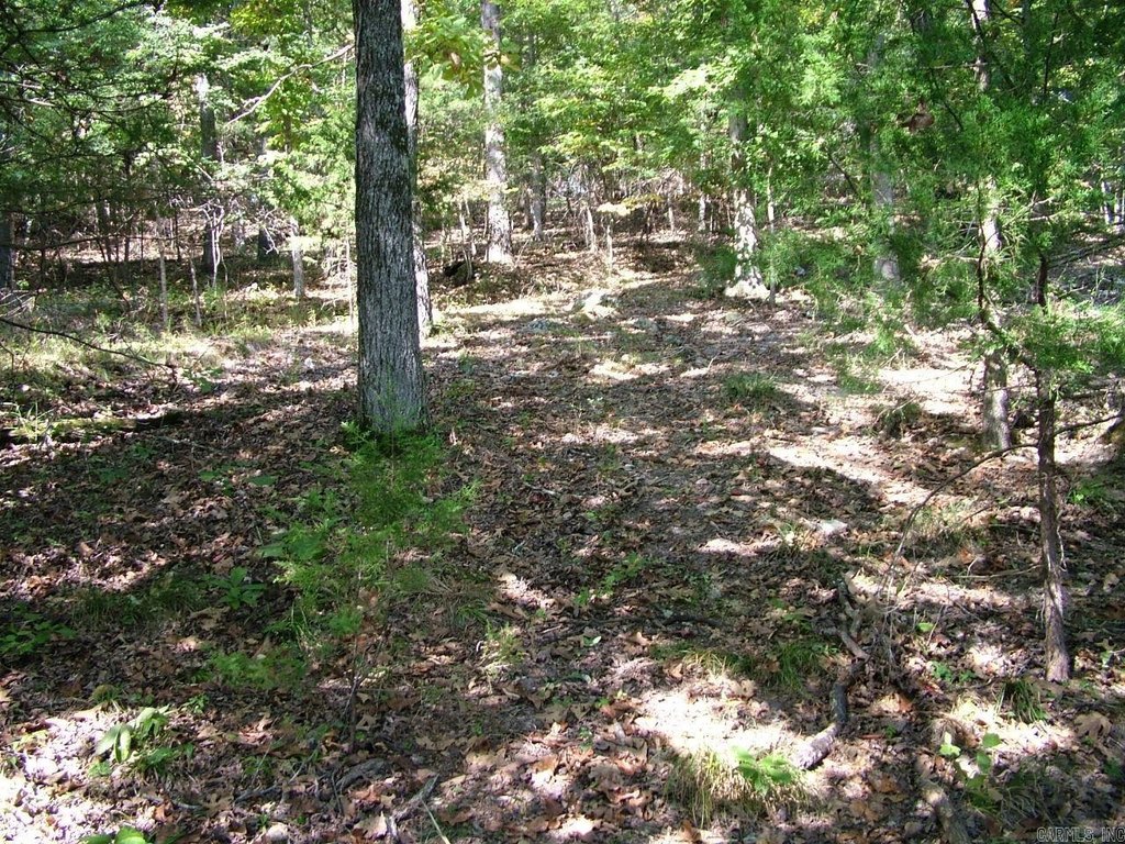 Picture 7