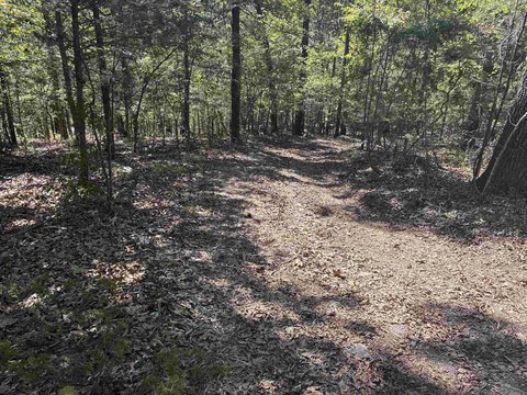 Unrestricted Land Near White River