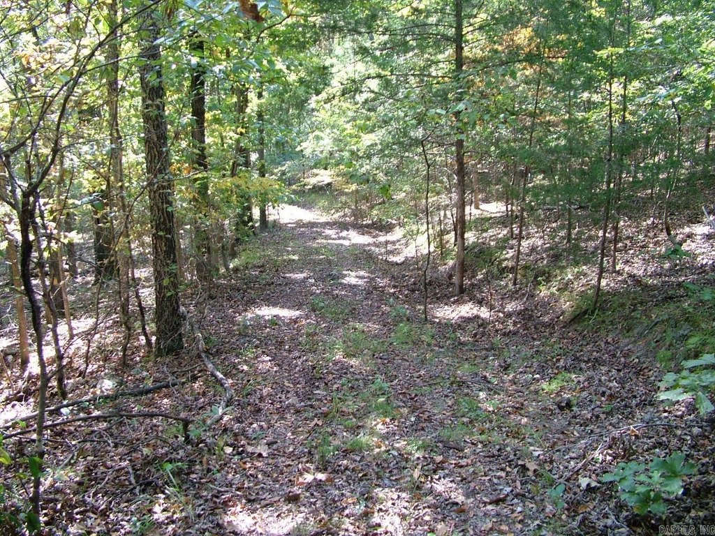 Picture 13