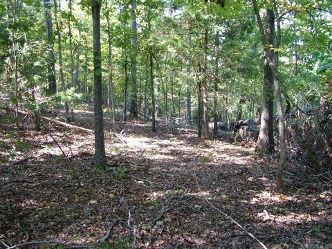 Unrestricted Land Near White River
