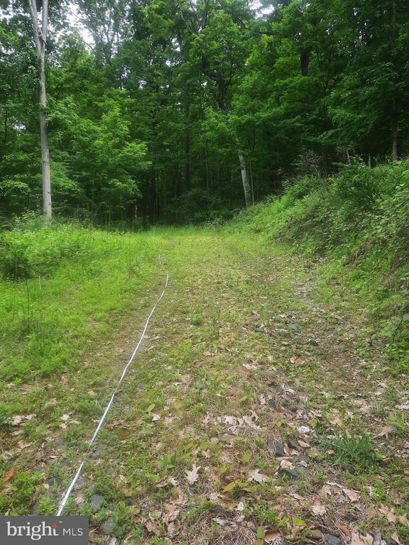 Picture 6