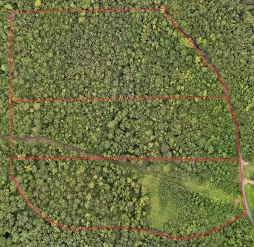 Private Hunting Land Tracts