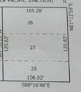 Picture 7