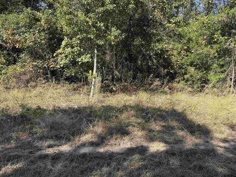 Lakeside Waterfront Residential Lot