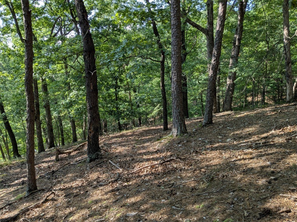 Picture 18