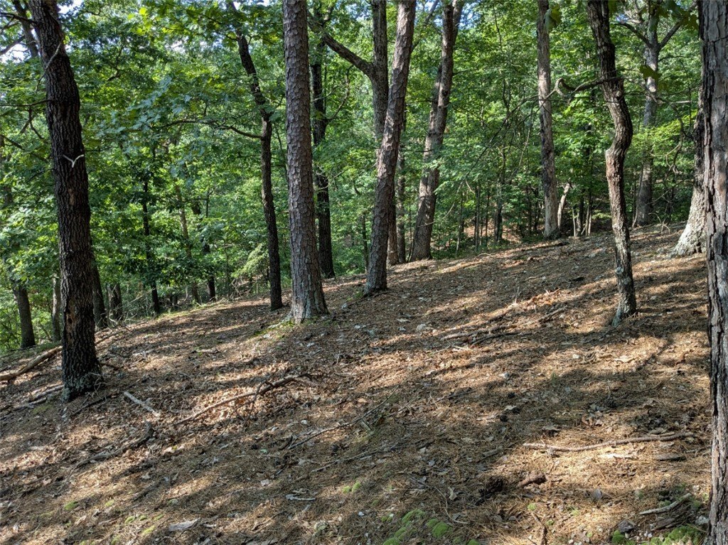 Picture 16