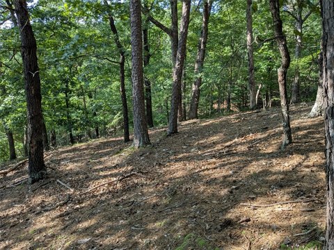 Land, Eureka Springs, AR