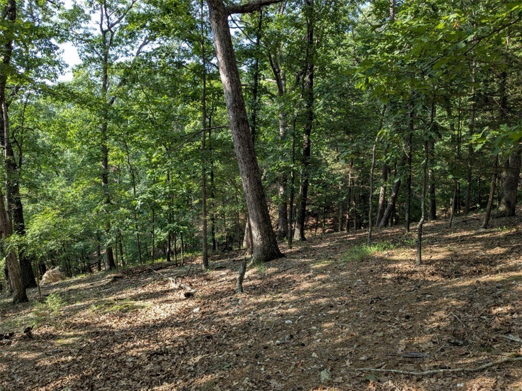 Picture 22