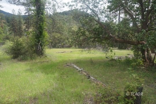 31.07 Acres Near Trinity River