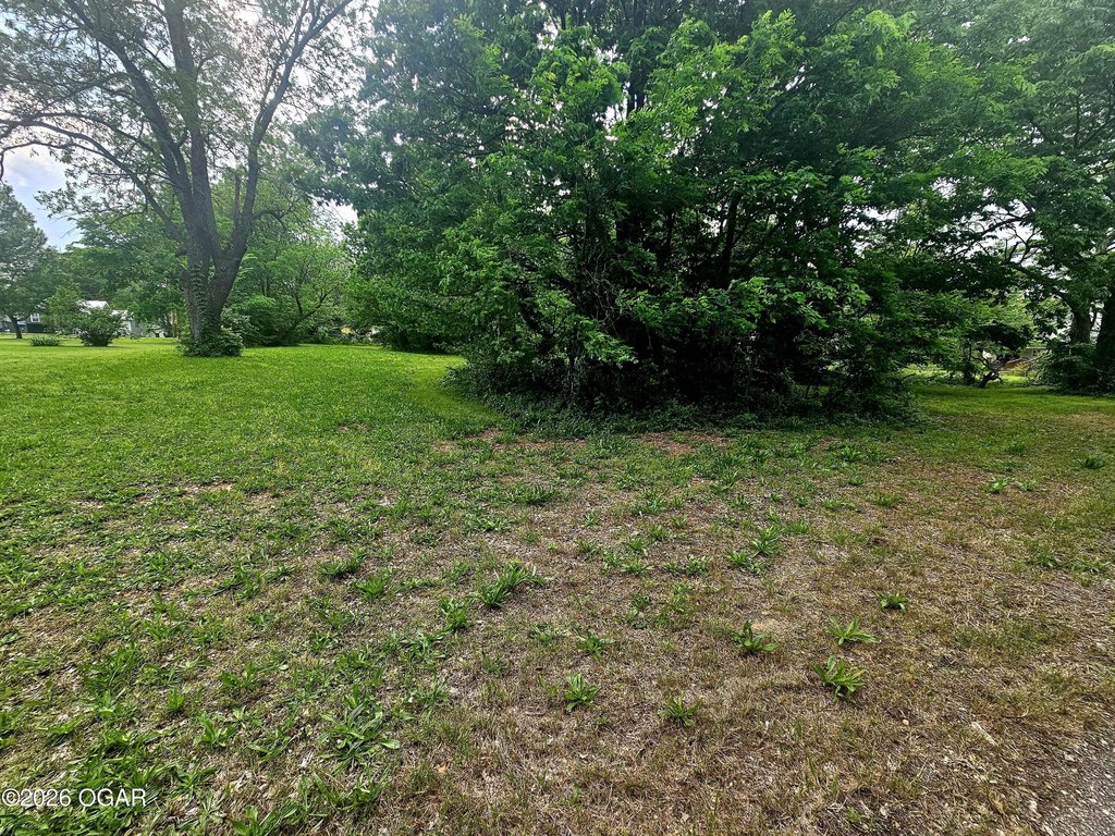 Picture 3