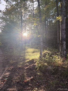 VACANT LAND, Munising, MI